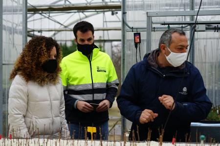 Imagen La Diputación de Segovia hace entrega de un millar de olmos resistentes a la grafiosis a 115 municipios