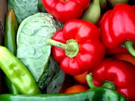 Imagen La Diputación de Segovia inicia los ciclos formativos del programa de educación ambiental ‘Enreda en verde’